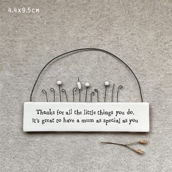 6444  -Hanging scene-Thanks for the little things you do
